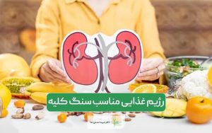 رژیم غذایی برای سنگ کلیه کلسیمی و اسید اوریکی و نکات مهم آن